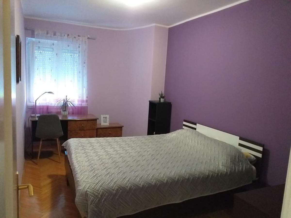 Apartment City Center Novi Sad Esterno foto